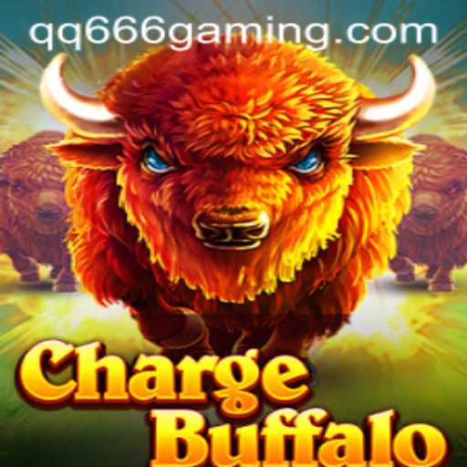 Charging into the World of ChargeBuffalo: The Adventure Awaits